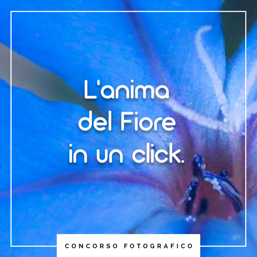 concorso fotografico unione di floriterapia