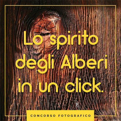 concorso fotografico